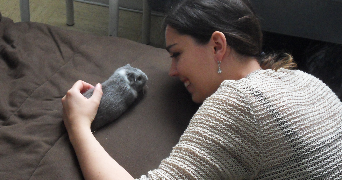 caroline pet sitter à BOIS GUILLAUME 76230_2