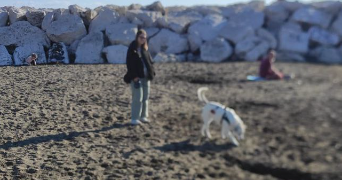 geraldine pet sitter à PARIS 13 75013_2