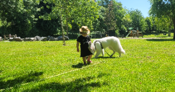 audrey dog sitter à LOUCELLES 14250_2