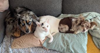 audrey  pet sitter à Fréjus 83600_6