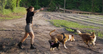mélanie pet sitter à TOURS 37000_4