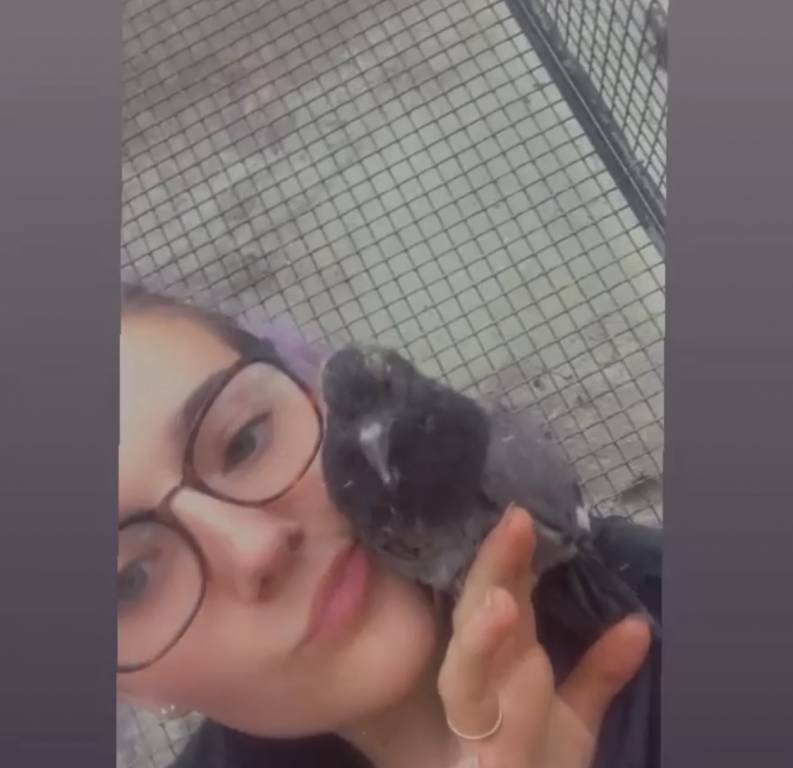 Joane  pet sitter à Grisy-Suisnes 77166_5