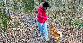 marie pet sitter à Tours 37100_1