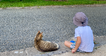 célia pet sitter à CHAUMONT SUR THARONNE 41600_3