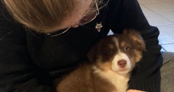 mathilde pet sitter à CHAMBERY 73000_6