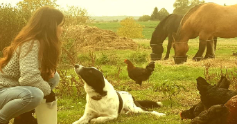 sabrina pet sitter à NIORT 79000_2