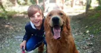 lolaetnoah pet sitter à MONTEVRAIN 77144