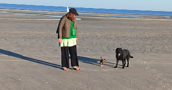 julie dog sitter à TRILPORT 77470_5