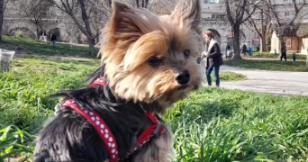 anais pet sitter à Paris 18 75018_2