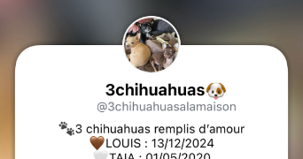 sandrine pet sitter à CLAYE SOUILLY 77410_9