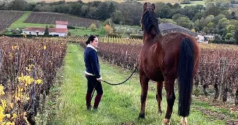 floriane pet sitter à AIX EN PROVENCE 13090