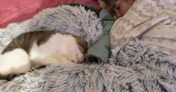 angèle pet sitter à LANNION 22300_2