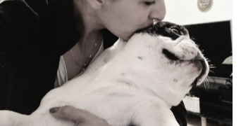 maria pet sitter à MORTEAU 25500_0