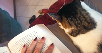 floriana pet sitter à PARIS 13 75013_1