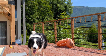 romain dog sitter à VALSERHONE 01200_3