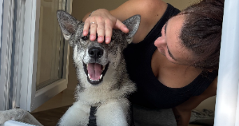 lisa pet sitter à NERCILLAC 16200