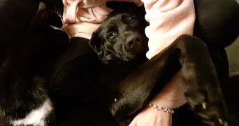 mandy pet sitter à Bourges  18000_6