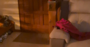 christopher pet sitter à Ivry-le-Temple 60173_5