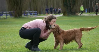 diane pet sitter à FONTENAY AUX ROSES 92260
