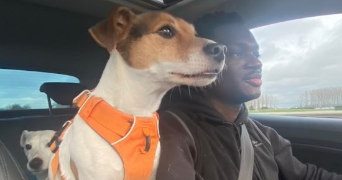 noah dog sitter à VAUX LE PENIL 77000_1