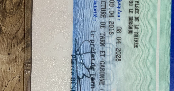 ninon pet sitter à TOULOUSE 31200_1