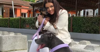 kelly pet sitter à POMPONNE 77400