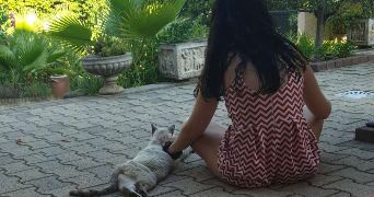 mina pet sitter à Le Muy 83490_3