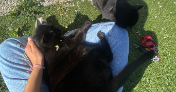 salomé pet sitter à DOMENE 38420_7