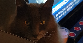 myriam pet sitter à GARDANNE 13120_12