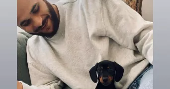 dylan pet sitter à BAYONNE 64100