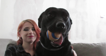 kelly pet sitter à ANZIN 59410_3