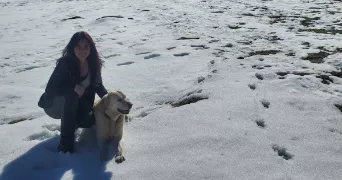 cindy pet sitter à PAU 64000