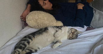hiba pet sitter à TAVERNY 95150_3