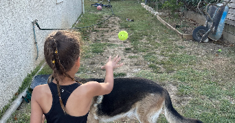 kim pet sitter à BEAUVOISIN 30640_5