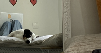 chloé pet sitter à BALLON ST MARS 72290_2
