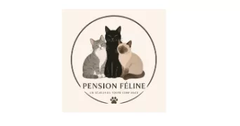 pension féline des trois chats cat sitter à ORLEANS 45000