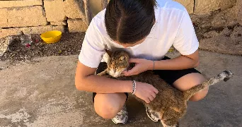 mathilde pet sitter à VERNEUIL SUR SEINE 78480