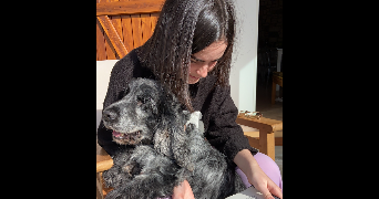charlotte dog sitter à MURES 74540_5