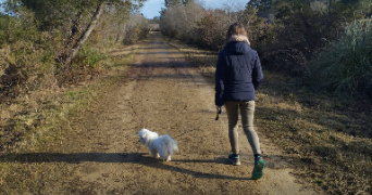 maéva pet sitter à ST GEIN 40190_1