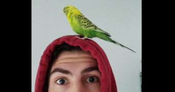lucie pet sitter à TOULOUSE 31400_4