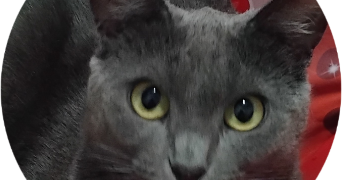 caroline  pet sitter à BEAUGENCY 45190_1