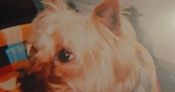 nadine pet sitter à Arcueil 94110_11