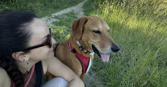 Chloé pet sitter à Montrabé 31850_2