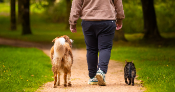 martin pet sitter à LA RABATELIERE 85250_2