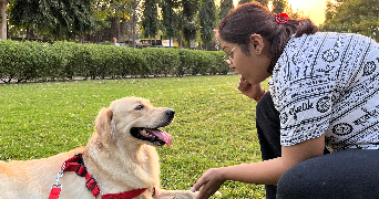 vishwa pet sitter à PARIS 12 75012_2