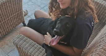 maïwenn pet sitter à Plouzévédé 29440_1