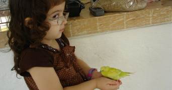 anael pet sitter à PERPIGNAN 66000_4