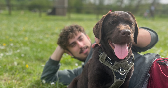 noah pet sitter à SAVONNIERES 37510_0