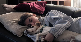 zoé pet sitter à LES SABLES D OLONNE 85340_3