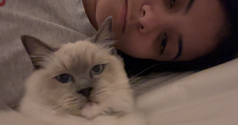 eva pet sitter à BORDEAUX 33300_2